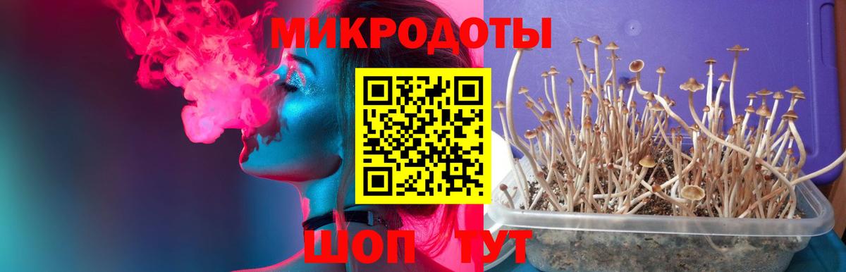 Киреевск  Галлюциногенные грибы Magic Shrooms  Вход с VPN 